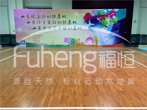 健身馆运动木地板